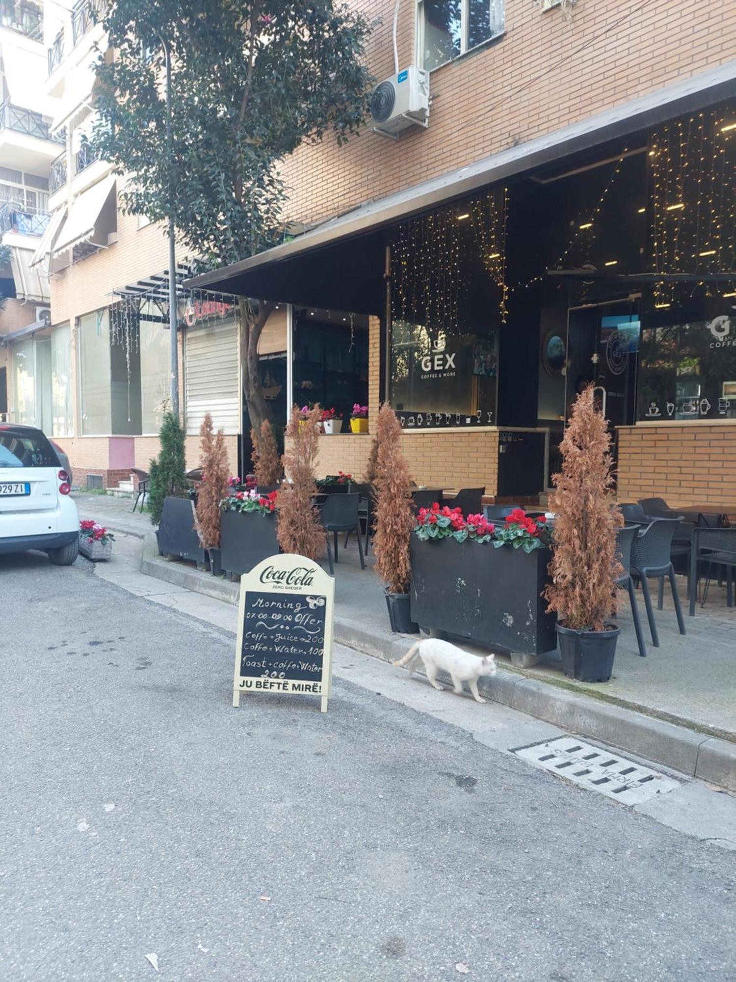 Gex Apartments Tirana Kültér fotó